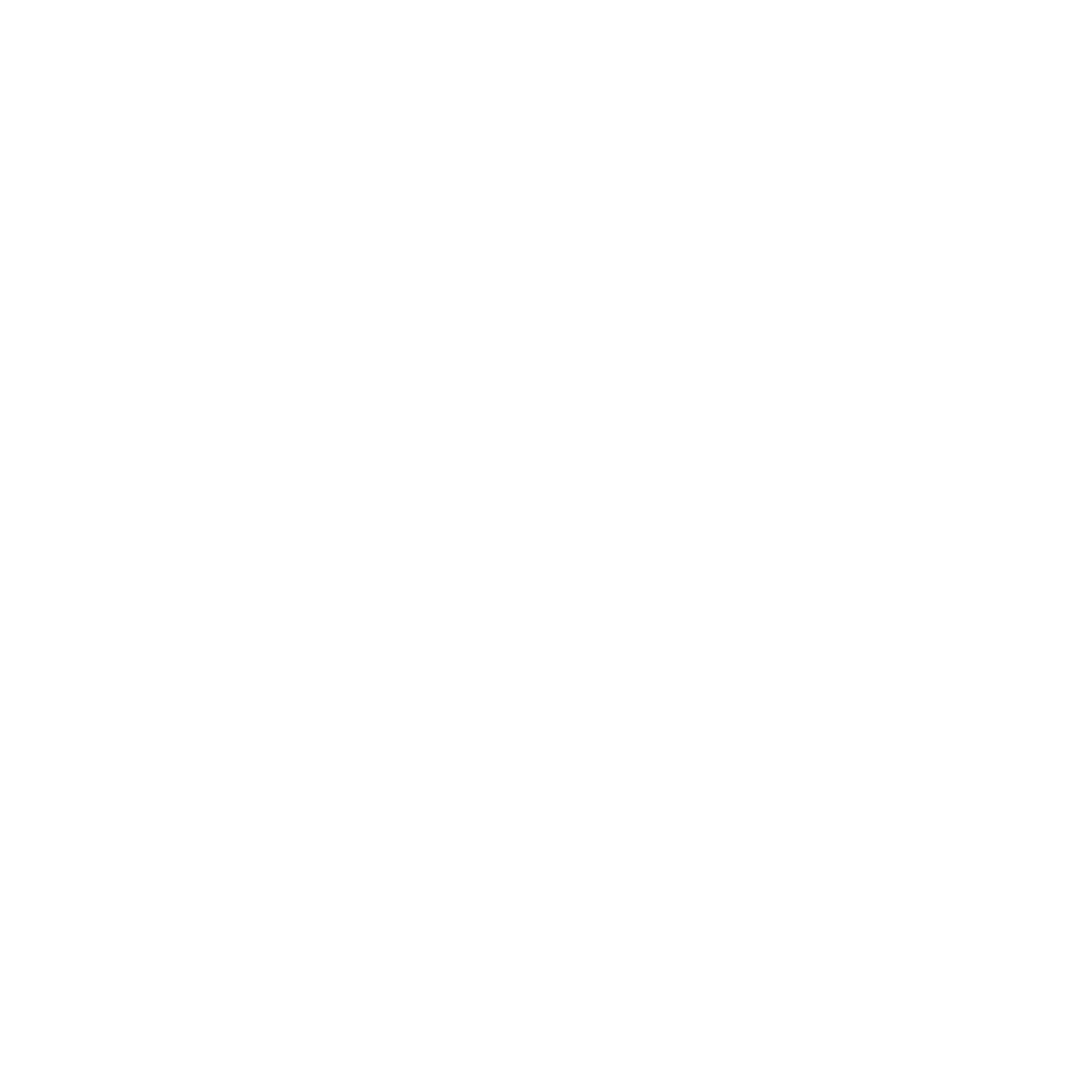 Disc Pong Association